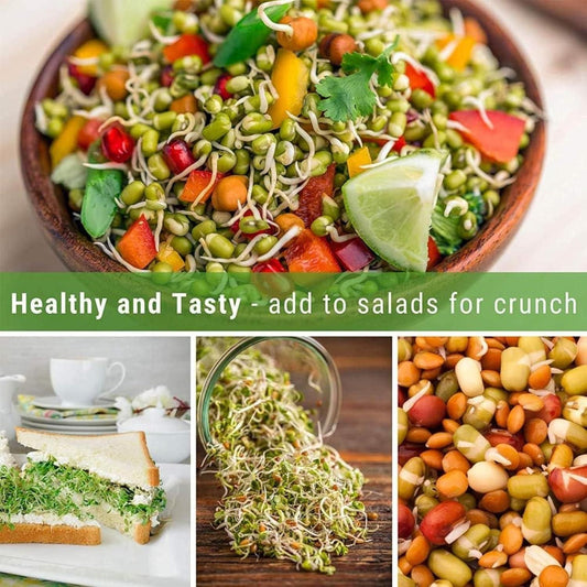 Sprouting All Seeds & Beans Airflow Mesh Lid, Easy Drainage Odor Resistant & Durable Green